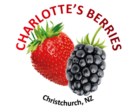 Charlotte's Berries Christchurch NZ